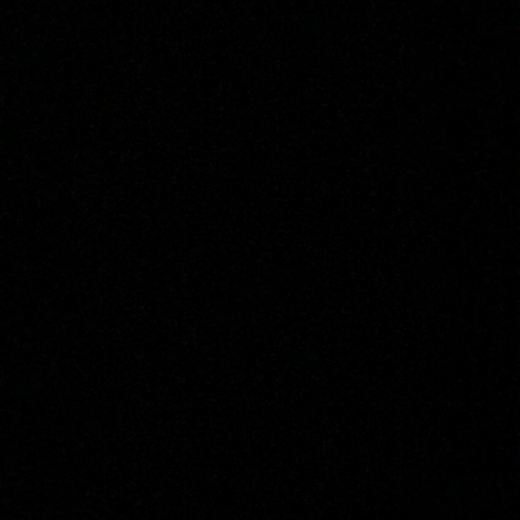 Meet your Posher, Lizzie - Picture 1 of 1